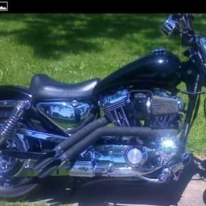 Meet your Posher, Brenda